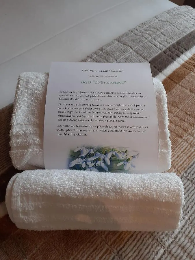 B&B Il Bucaneve Santo Stefano Di Cadore Bed & Breakfast