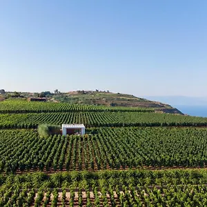  Resort Castellaro Wine Italia